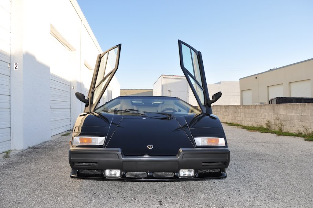 Name:  DSC_2083.jpg
Views: 270
Size:  122.6 KB