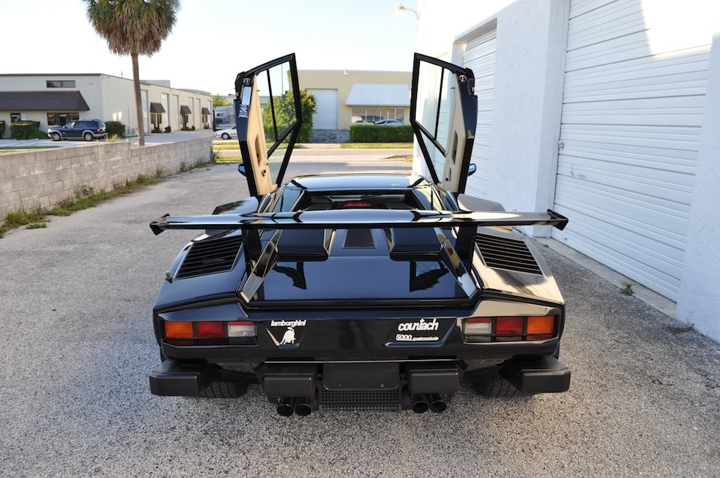 Name:  DSC_2099.jpg
Views: 211
Size:  171.5 KB