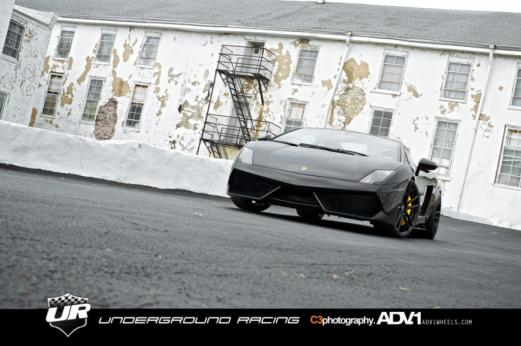 Name:  Gallardo2.jpg
Views: 142
Size:  159.8 KB