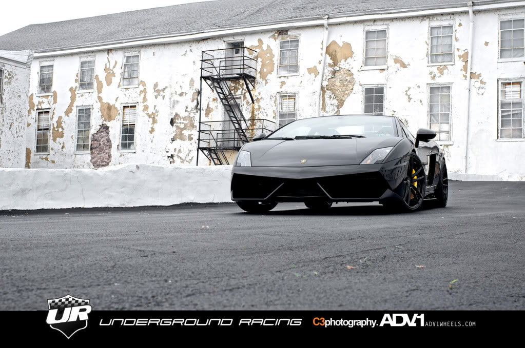 Name:  Gallardo3.jpg
Views: 143
Size:  162.2 KB