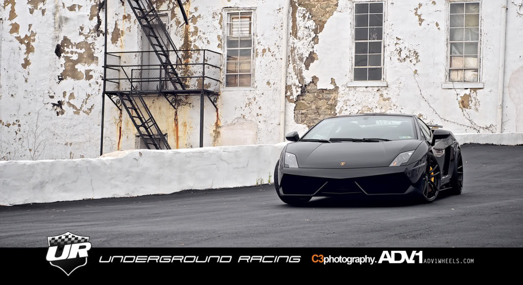 Name:  Gallardo4.jpg
Views: 141
Size:  146.2 KB