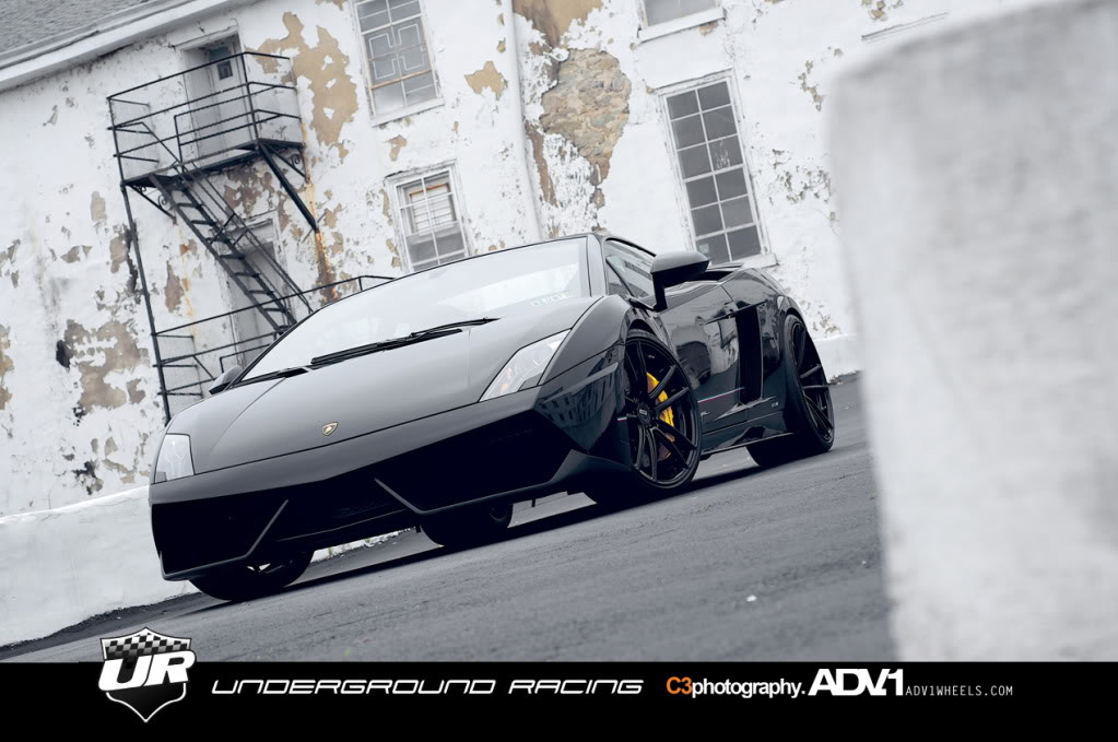 Name:  Gallardo5.jpg
Views: 138
Size:  115.7 KB