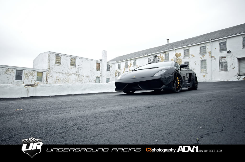 Name:  Gallardo6.jpg
Views: 137
Size:  124.5 KB