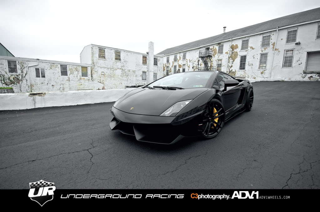 Name:  Gallardo7.jpg
Views: 141
Size:  124.3 KB