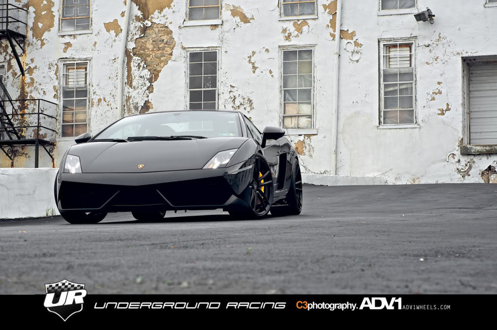 Name:  Gallardo8.jpg
Views: 138
Size:  147.7 KB