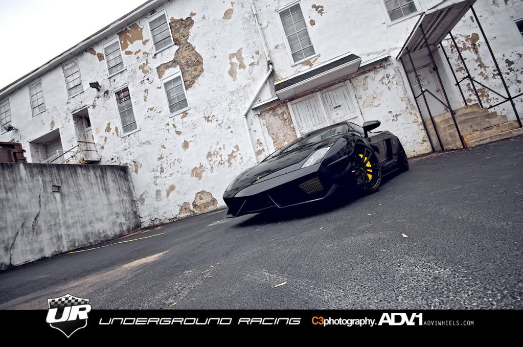 Name:  Gallardo11.jpg
Views: 129
Size:  203.8 KB
