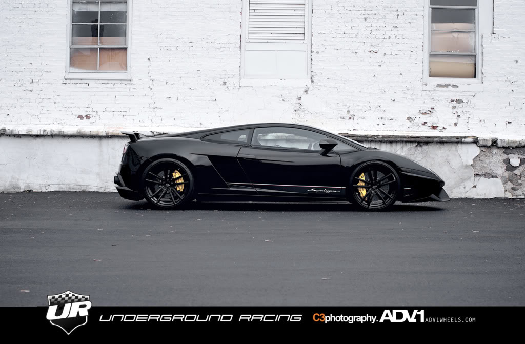 Name:  Gallardo12.jpg
Views: 156
Size:  113.3 KB