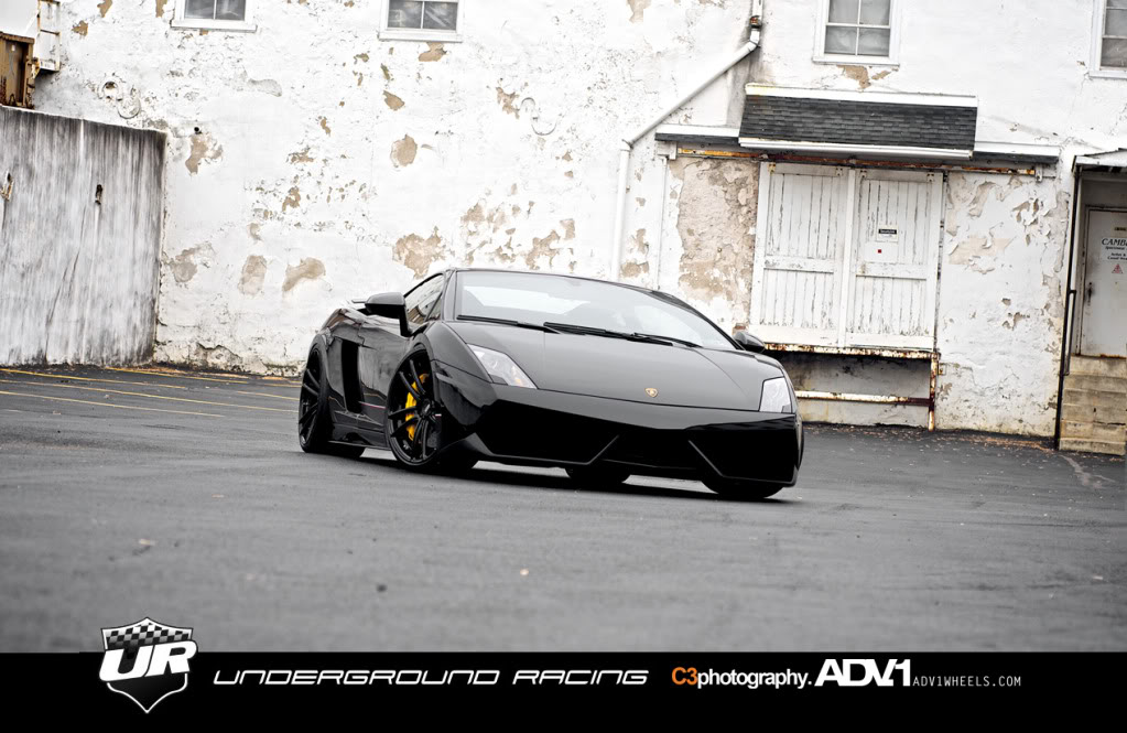Name:  Gallardo14.jpg
Views: 141
Size:  134.0 KB