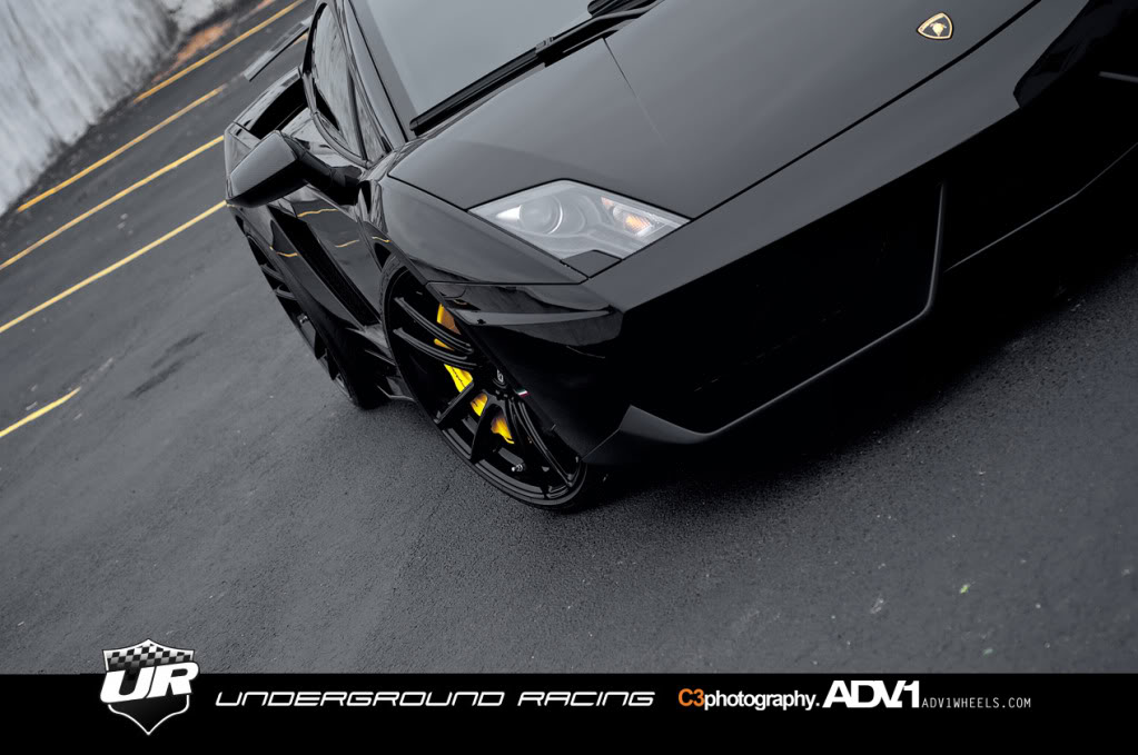 Name:  Gallardo15.jpg
Views: 137
Size:  100.9 KB