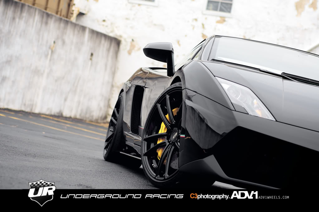 Name:  Gallardo16.jpg
Views: 139
Size:  87.6 KB