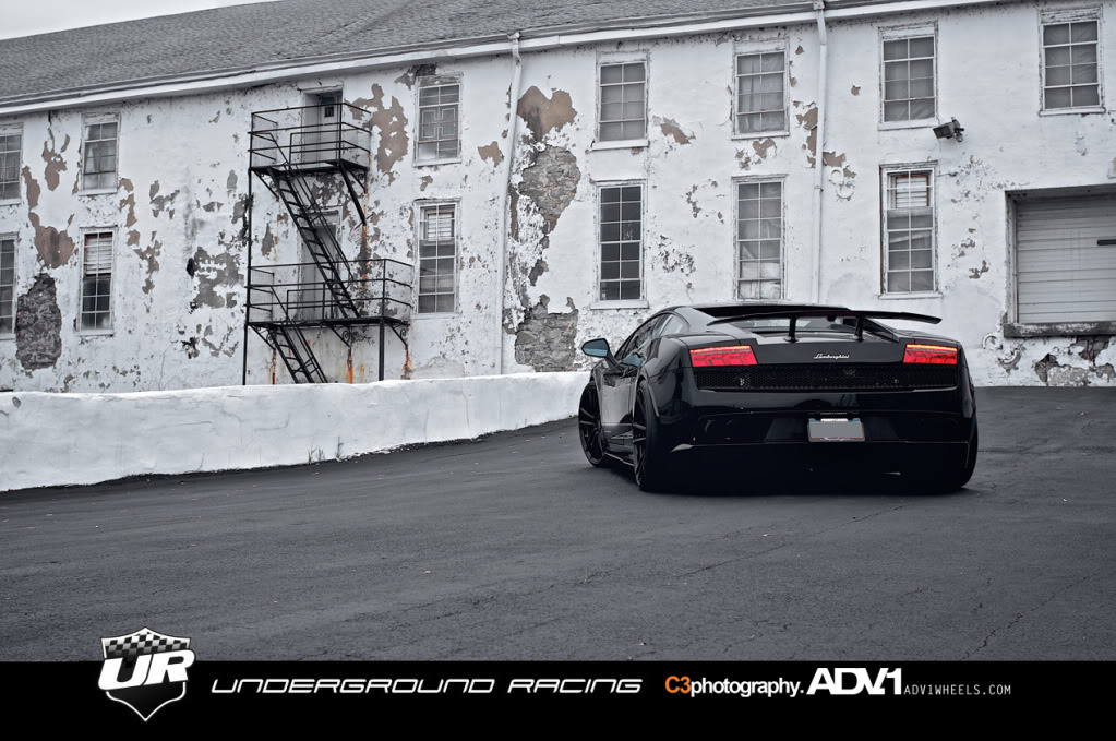 Name:  Gallardo18.jpg
Views: 136
Size:  163.4 KB