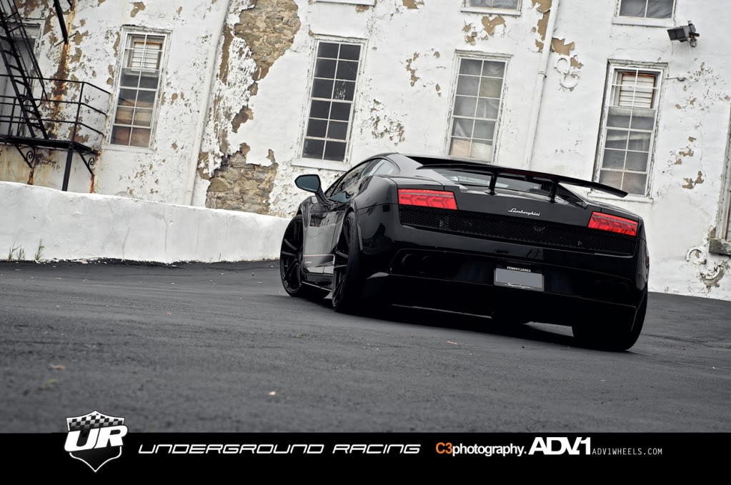 Name:  Gallardo19.jpg
Views: 139
Size:  142.8 KB