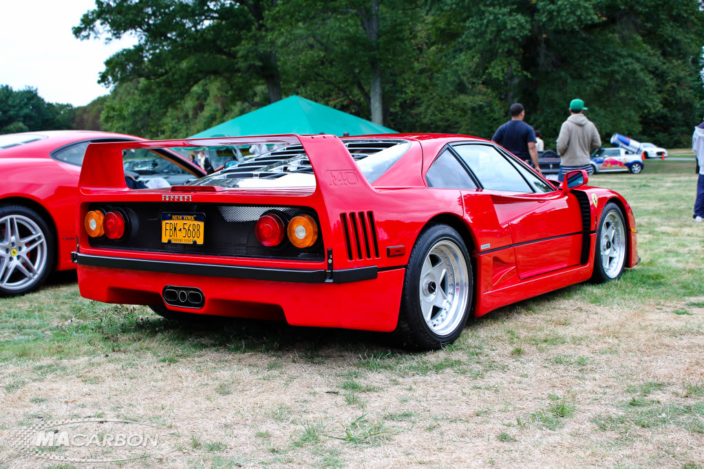 Name:  IMG_6281-Edit-2.jpg
Views: 86
Size:  307.3 KB