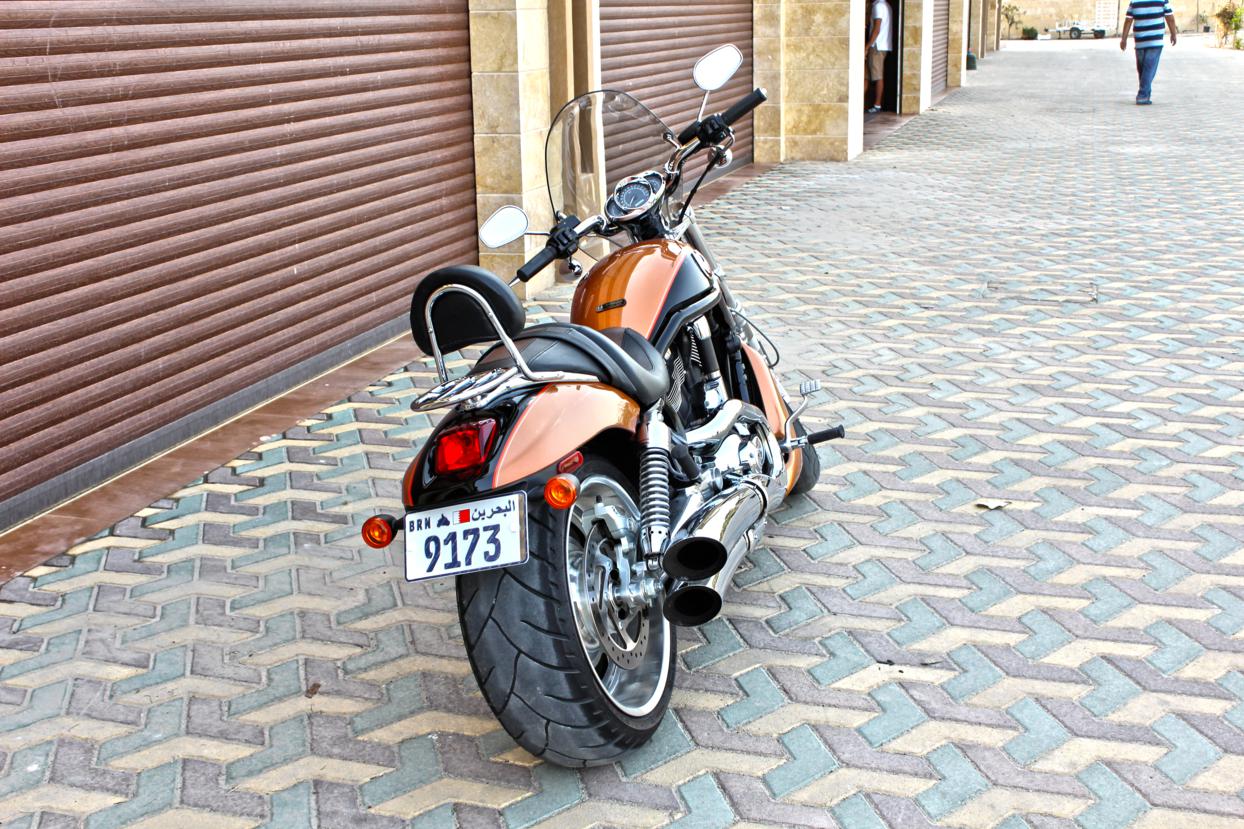 Name:  V-Rod1_1244x829.jpg
Views: 103
Size:  230.3 KB