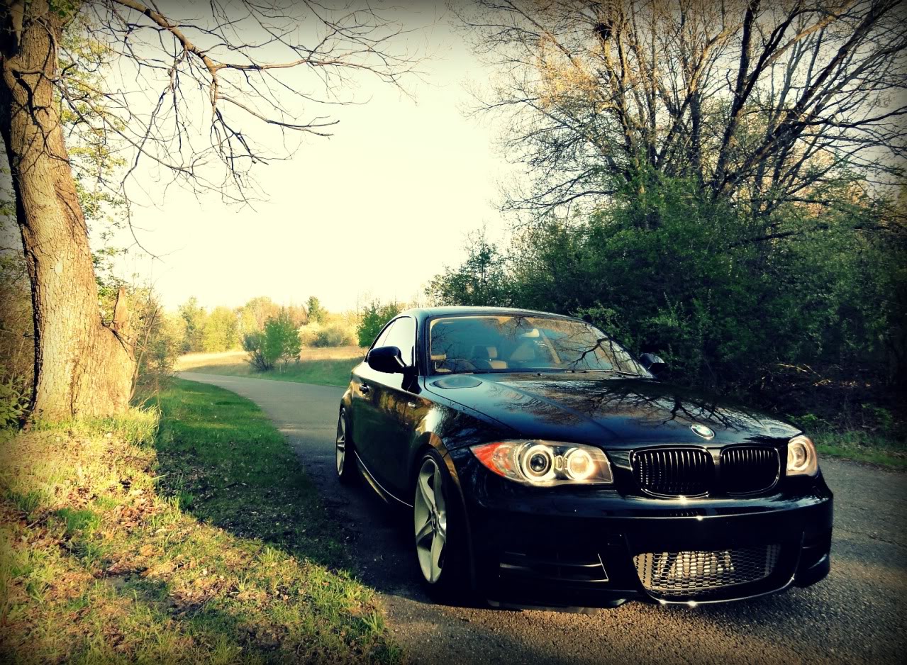 Name:  DSC01611edit1.jpg
Views: 181
Size:  384.0 KB