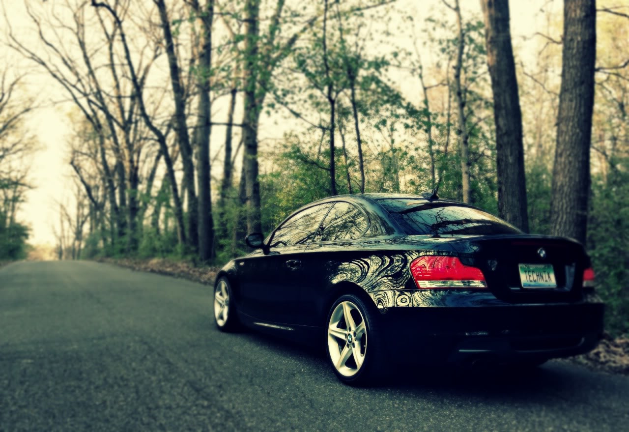 Name:  DSC01646edit1.jpg
Views: 198
Size:  184.6 KB