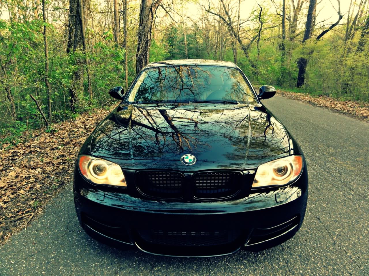 Name:  DSC01638edit1.jpg
Views: 209
Size:  435.7 KB