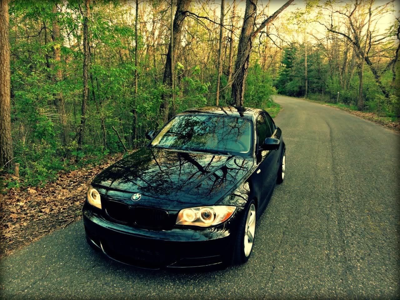 Name:  DSC01637edit1.jpg
Views: 197
Size:  445.5 KB