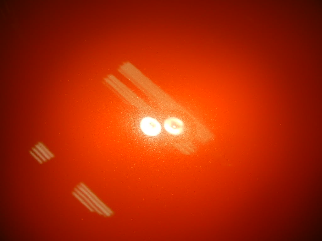 Name:  DSCN1901.jpg
Views: 259
Size:  56.8 KB