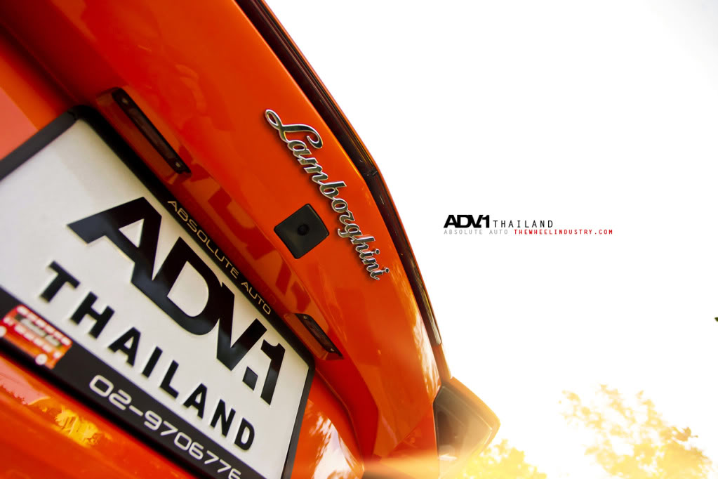 Name:  ADV1LP70011.jpg
Views: 123
Size:  87.5 KB