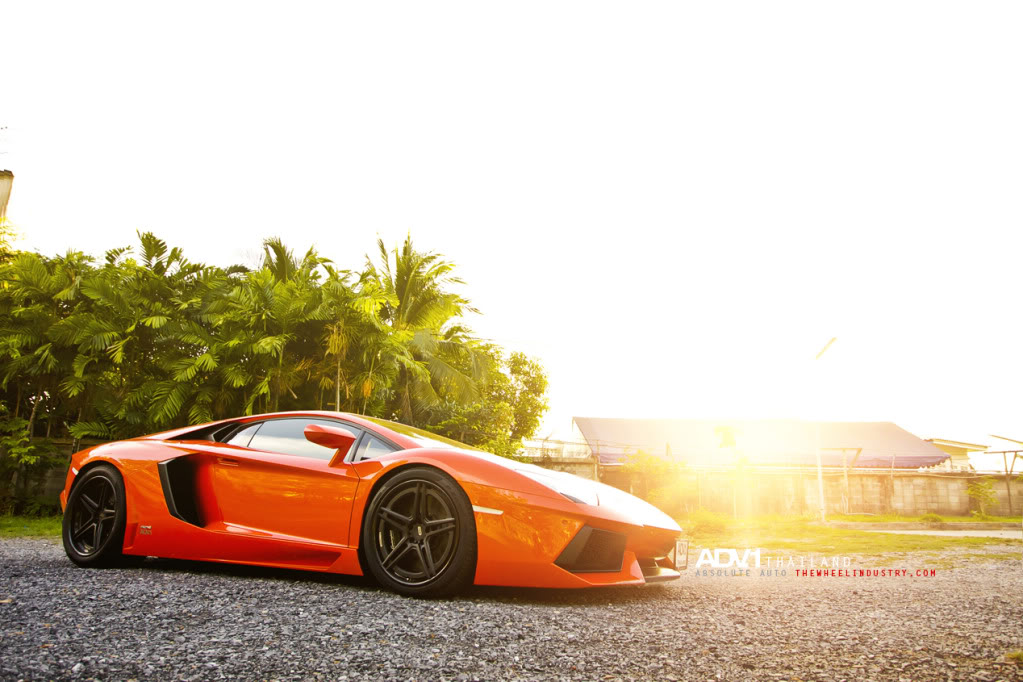 Name:  ADV1LP70014.jpg
Views: 74
Size:  142.0 KB