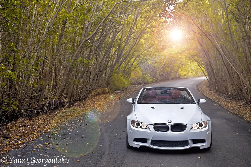 Name:  E93M3MathesonHammock5resizewatermark.jpg
Views: 332
Size:  207.3 KB