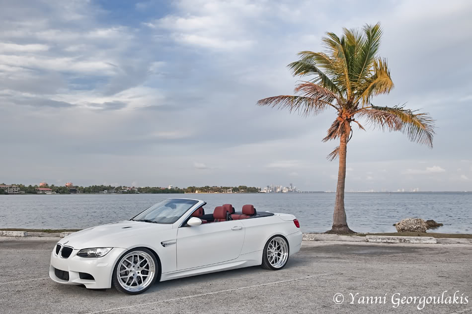 Name:  E93M3MathesonHammockPalmTreeresizewatermark.jpg
Views: 328
Size:  109.7 KB