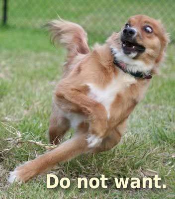 Name:  do-not-want-dog.jpg
Views: 96
Size:  22.5 KB