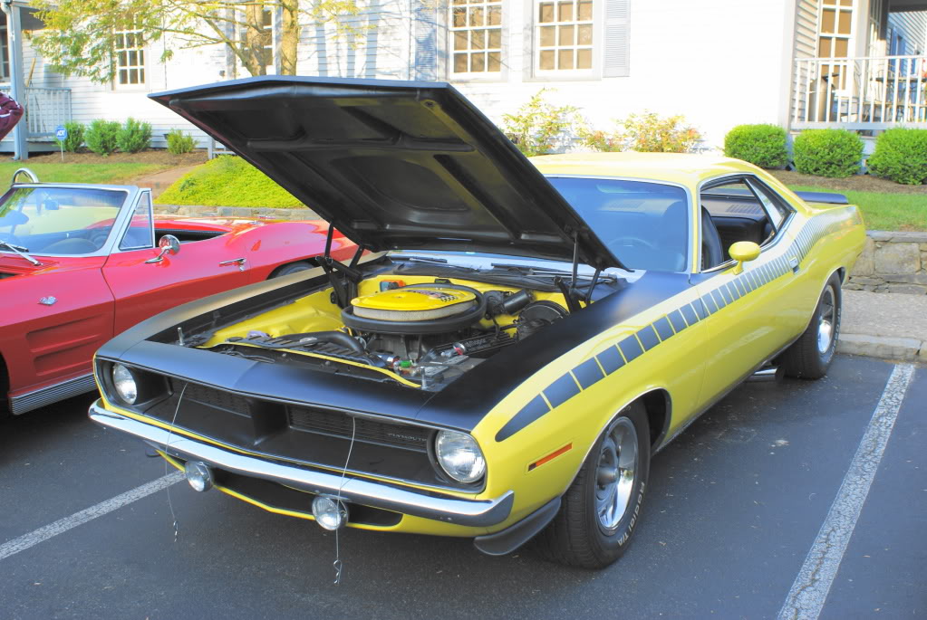 Name:  DSC02677.jpg
Views: 48
Size:  150.2 KB