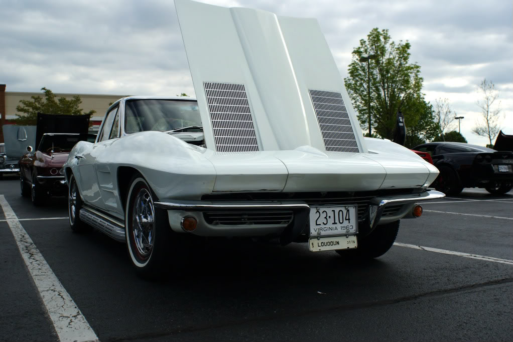 Name:  DSC02618.jpg
Views: 34
Size:  116.5 KB