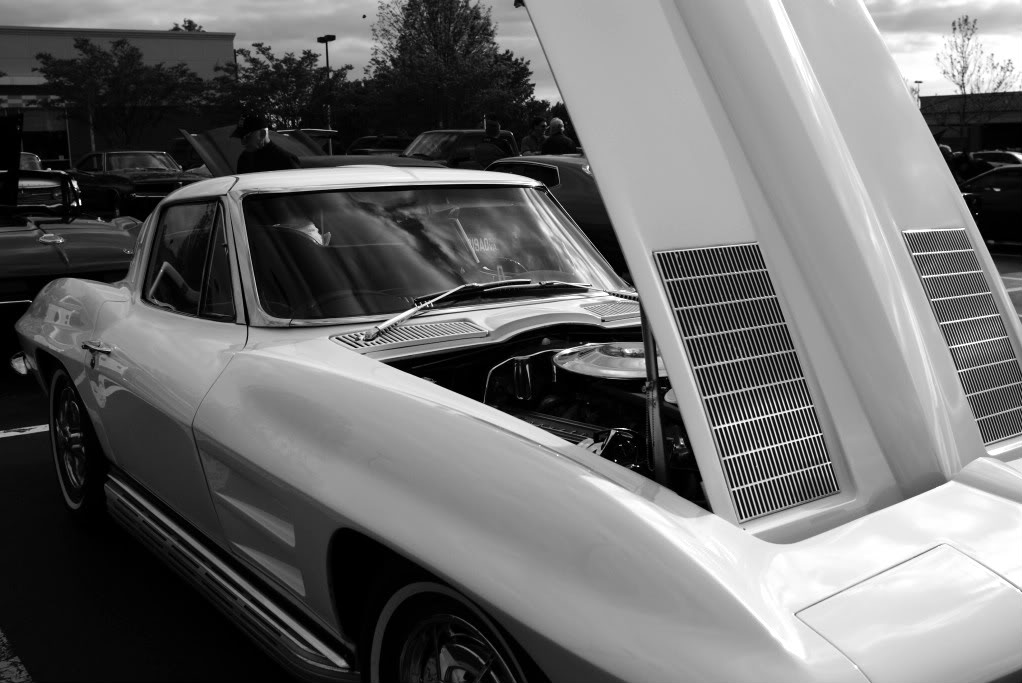 Name:  DSC02620.jpg
Views: 32
Size:  109.4 KB