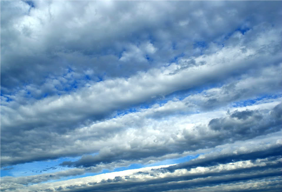 Name:  DSC02566.jpg
Views: 20
Size:  71.9 KB
