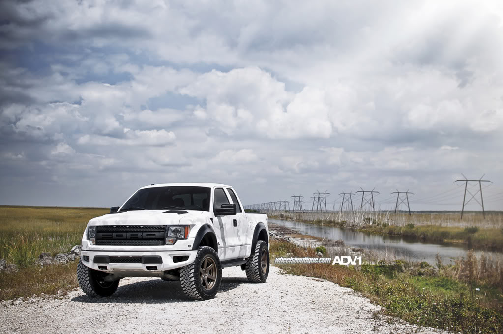 Name:  ADV1WBCamoRaptor3.jpg
Views: 474
Size:  123.7 KB