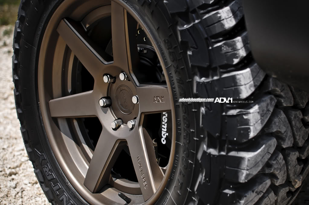 Name:  ADV1WBCamoRaptor6.jpg
Views: 489
Size:  106.4 KB