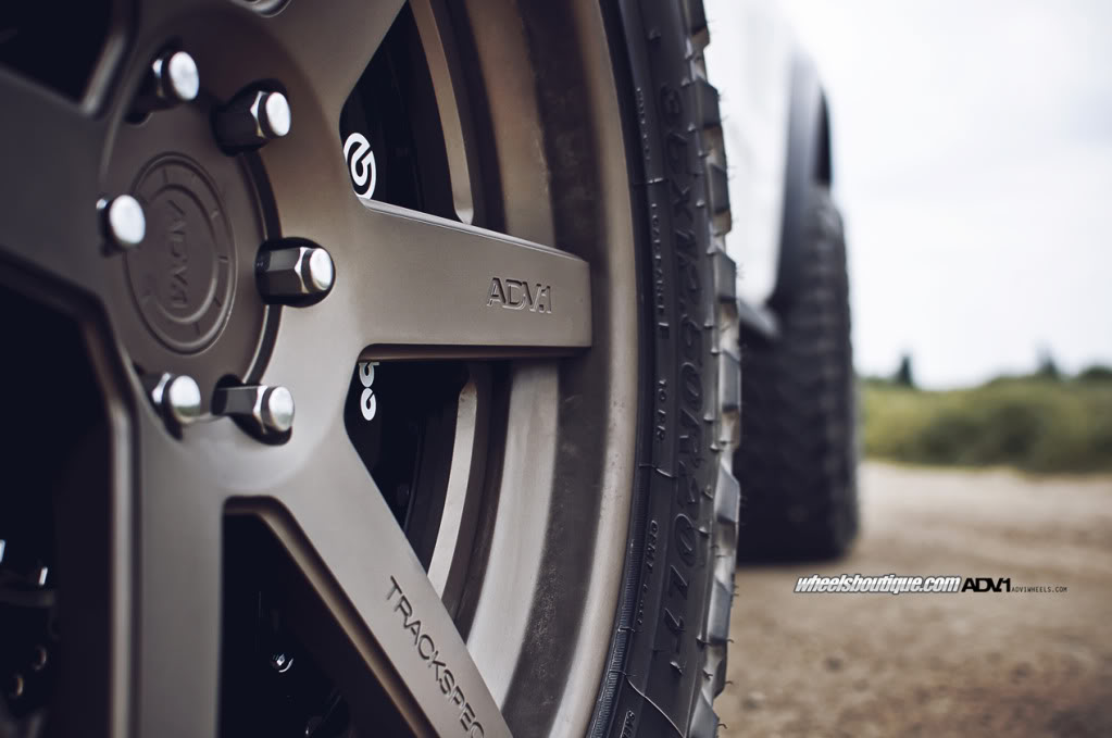 Name:  ADV1WBCamoRaptor10.jpg
Views: 400
Size:  72.4 KB