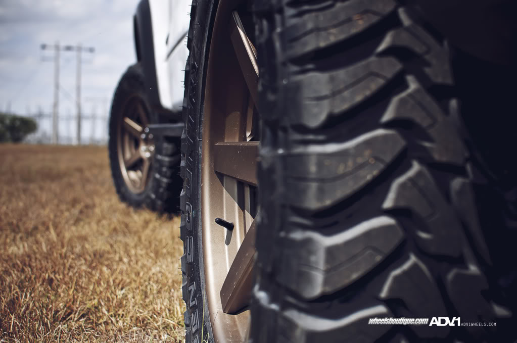 Name:  ADV1WBCamoRaptor11.jpg
Views: 388
Size:  89.4 KB