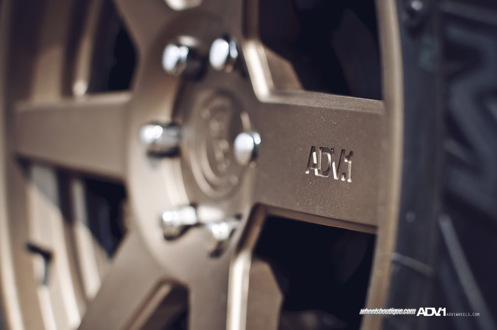 Name:  ADV1WBCamoRaptor12.jpg
Views: 415
Size:  54.8 KB