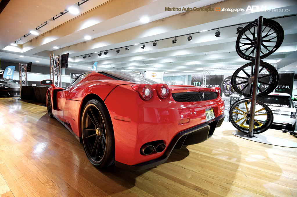 Name:  REAR355.jpg
Views: 59
Size:  159.6 KB