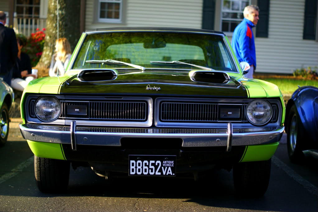 Name:  DSC02503.jpg
Views: 63
Size:  135.0 KB