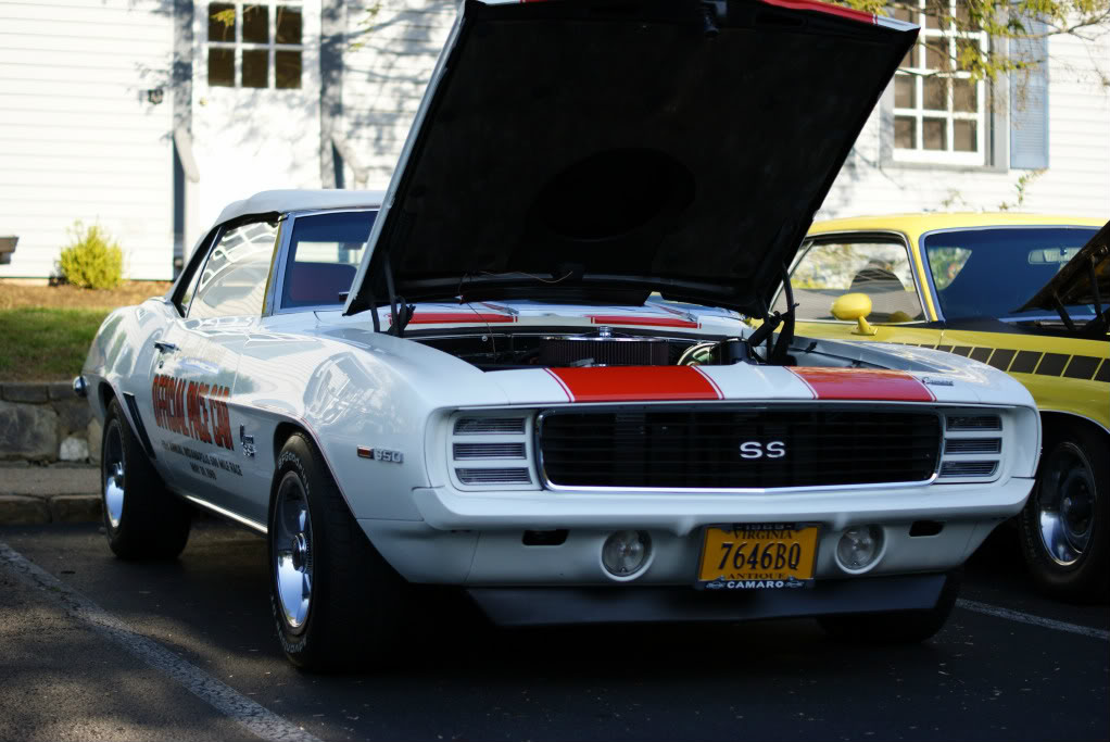 Name:  DSC02520.jpg
Views: 59
Size:  113.4 KB