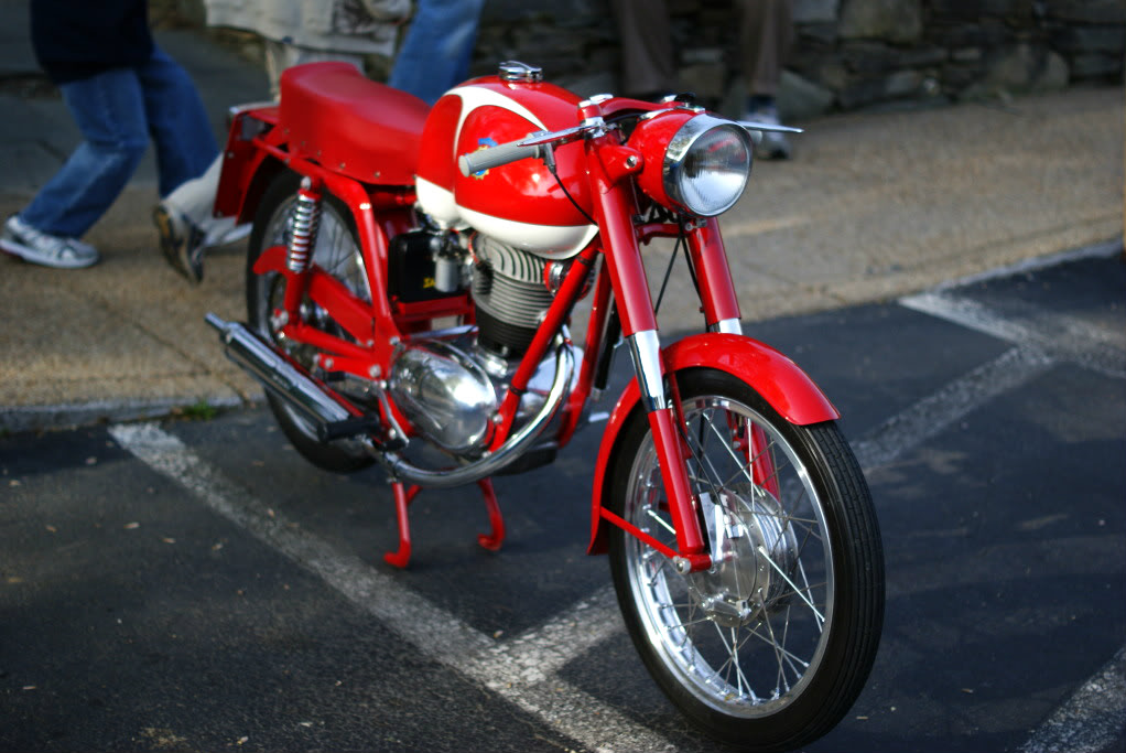 Name:  DSC02550.jpg
Views: 61
Size:  154.6 KB