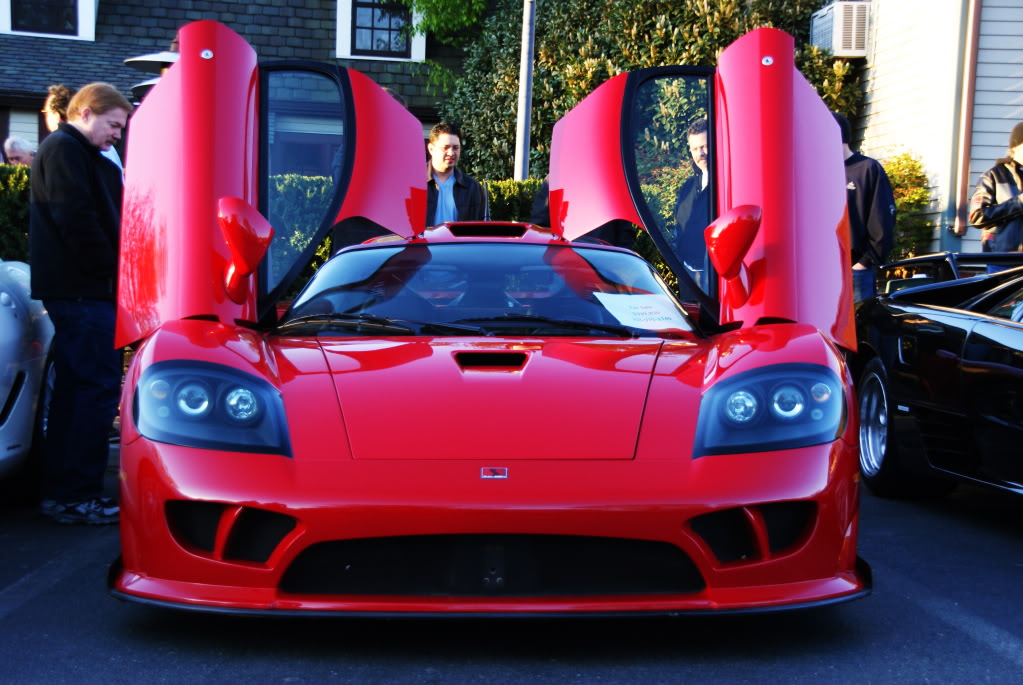 Name:  DSC02400.jpg
Views: 27
Size:  178.7 KB