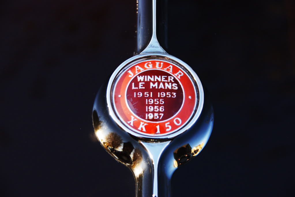 Name:  DSC02416.jpg
Views: 27
Size:  83.4 KB