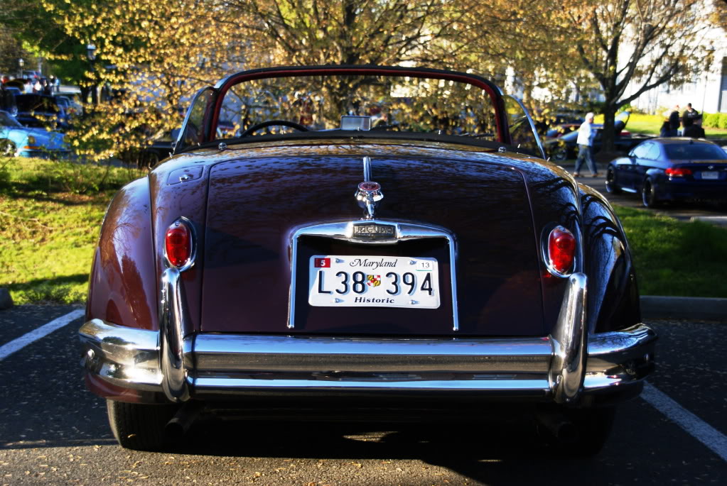 Name:  DSC02417.jpg
Views: 27
Size:  177.5 KB