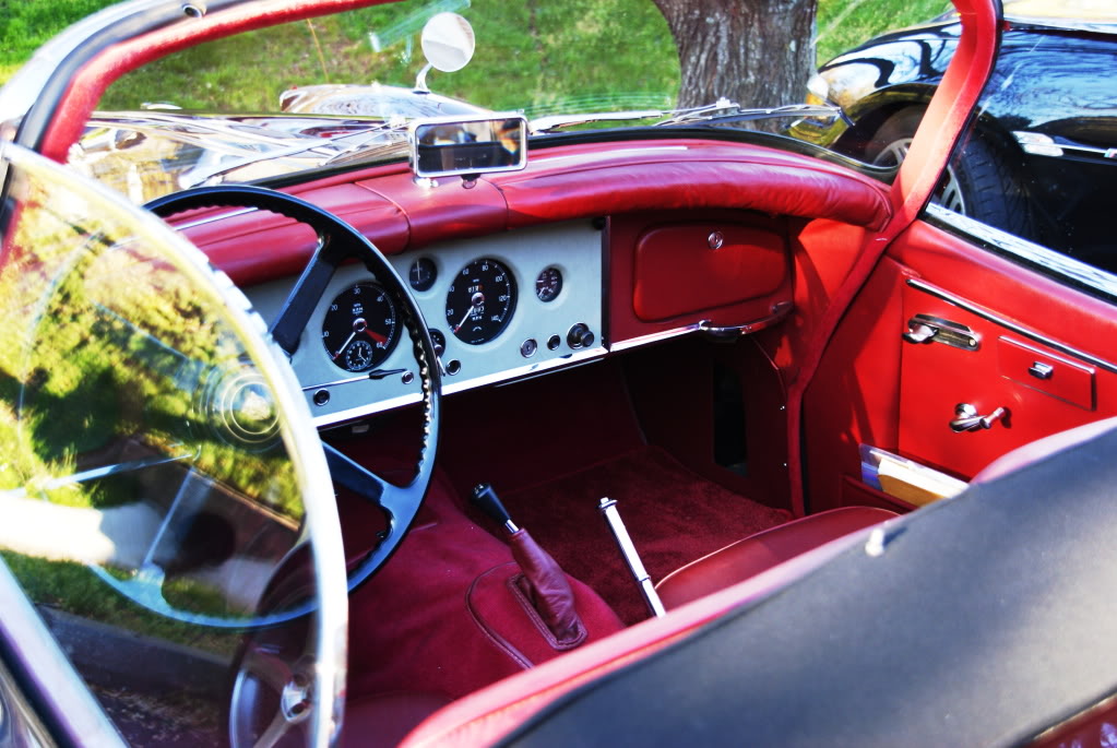 Name:  DSC02419.jpg
Views: 25
Size:  147.1 KB