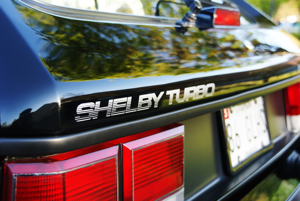 Name:  DSC02430.jpg
Views: 26
Size:  146.2 KB