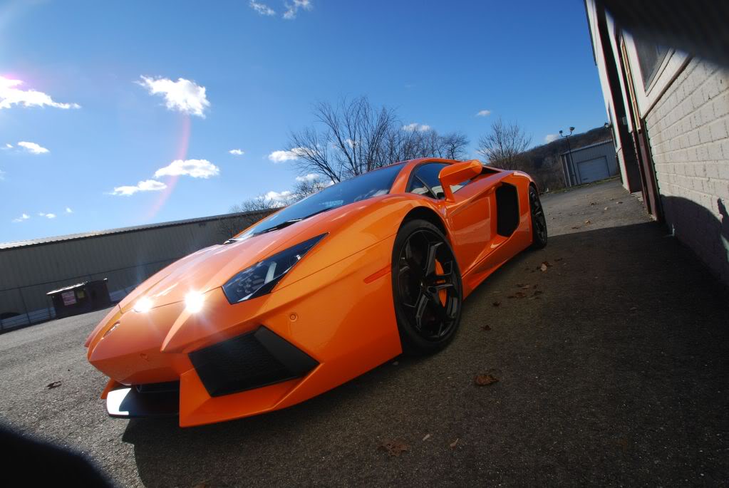 Name:  DSC_0482.jpg
Views: 70
Size:  86.9 KB