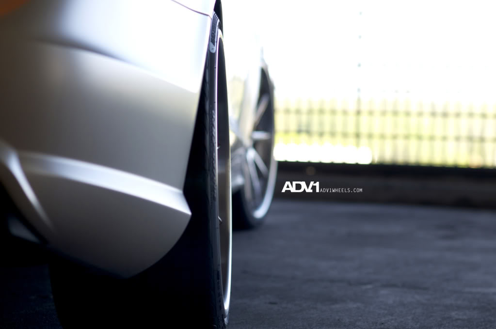 Name:  DSC_0197.jpg
Views: 132
Size:  48.5 KB