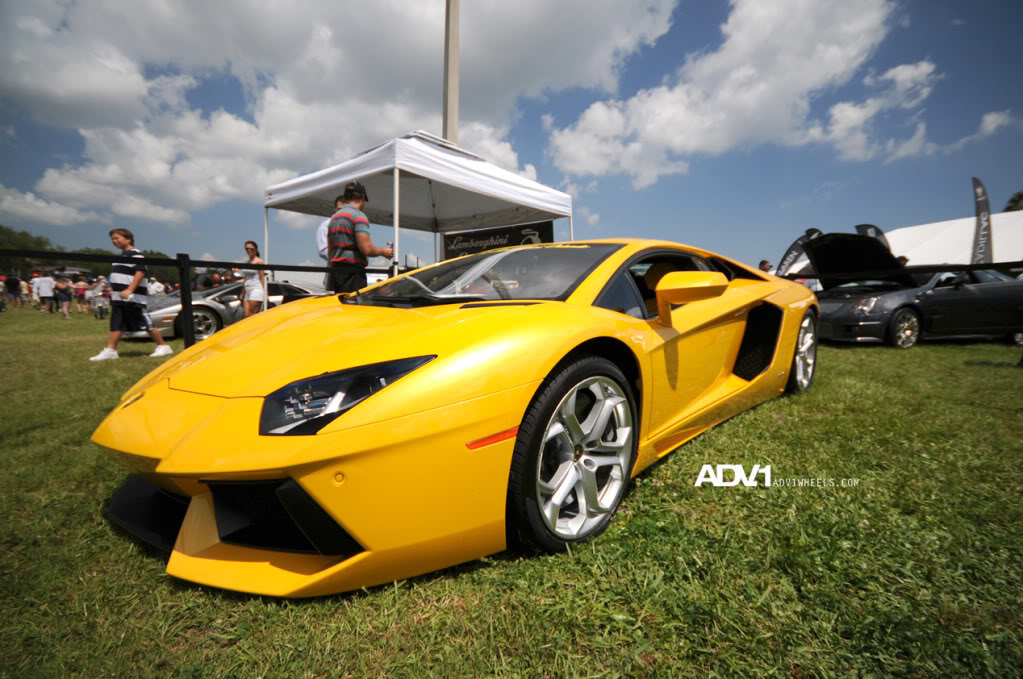 Name:  DSC_0482.jpg
Views: 23
Size:  151.3 KB