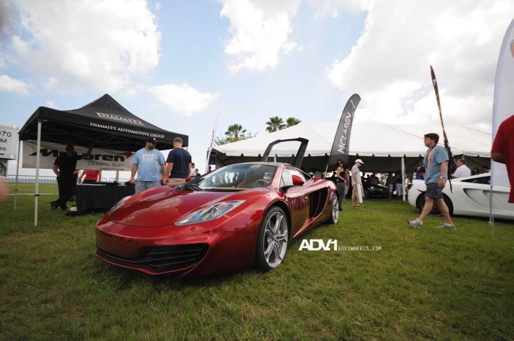 Name:  DSC_0495.jpg
Views: 29
Size:  122.1 KB